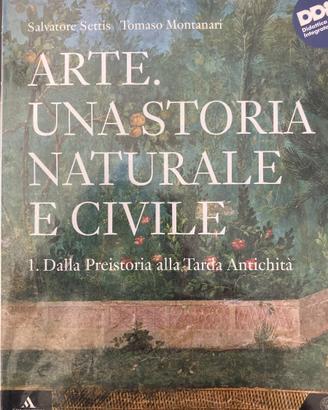 Libro arte una storia naturale e civile