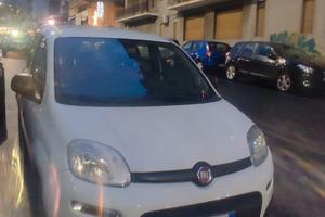 Panda per uso AUTOSCUOLA