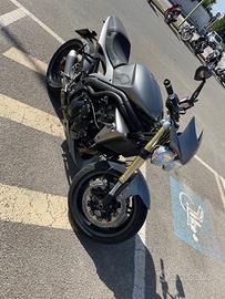 Triumph speed triple 1050