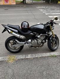 hornet