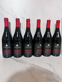 Amarone della valpolicella 2020