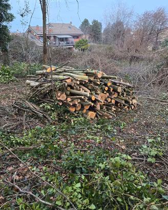 legna da ardere 