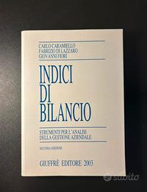 Indici di bilancio