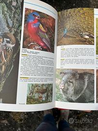 Enciclopedia anni 80 SCUOLA E FAMIGLIA