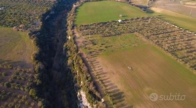 Terreno agricolo con irrigazione e ulivi
