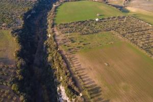 Terreno agricolo con irrigazione e ulivi