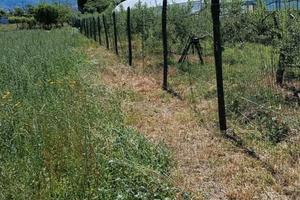 orti urbani da 100 MT - idea regal.o pensionati 