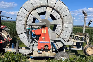 Rotolone Nettuno 125/280