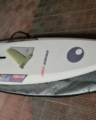Tavola Windsurf Bic Vivace 290 - litri 120