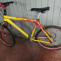 Mountain bike in alluminio