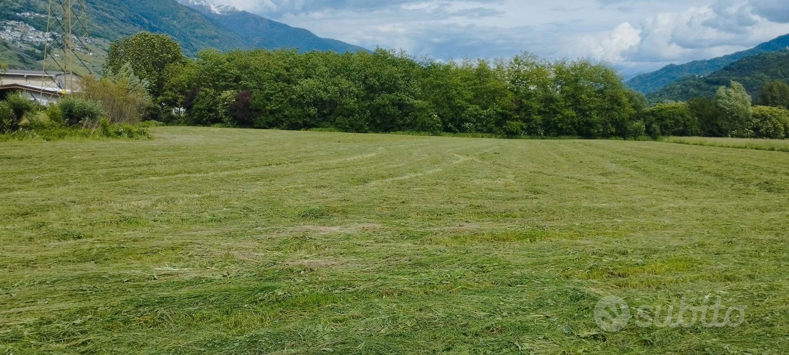 Terreno Sondrio - Vista 4