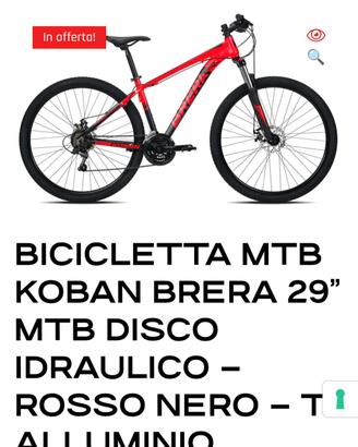 MTB beretta 29 XL (160€)