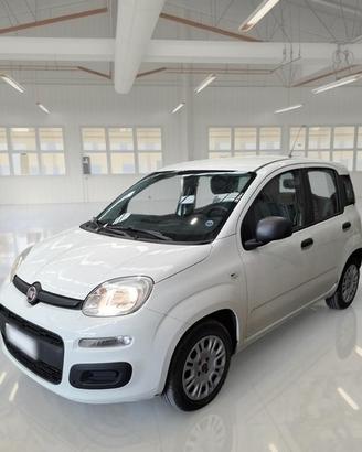 FIAT PANDA 1.2 69 CV E6 EASY 5 PORTE BERLINA