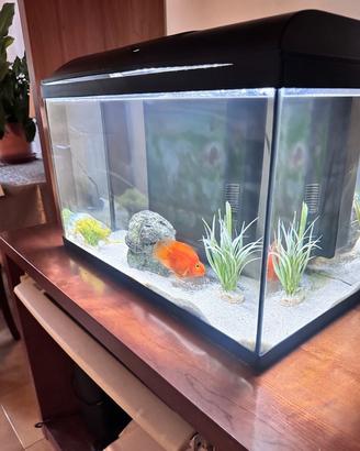 Aquario come nuovo