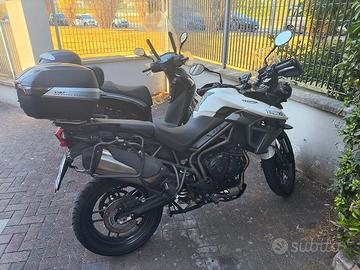 triumph tiger 800 2015 perfetta