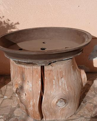 vaso bonsai 