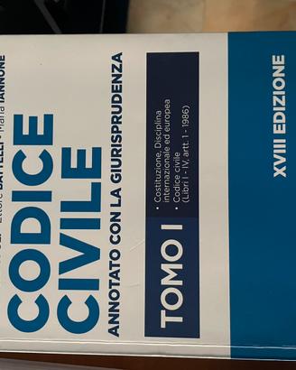Codice civile e procedura annotato + libro