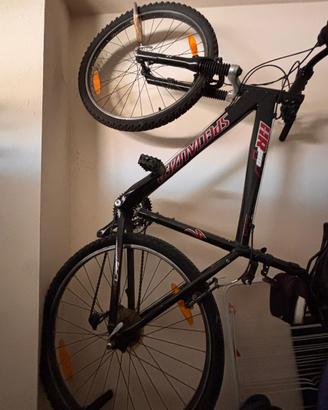 bicicletta