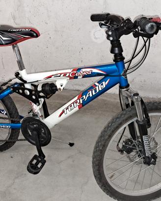 bici torpado bimbo