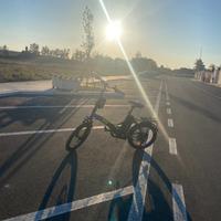 Bici elettrica argento piuma