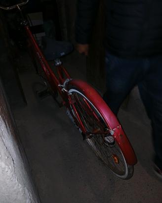 bicicletta donna 