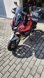 Triumph tiger660sport