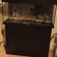 acquario 180 litri 