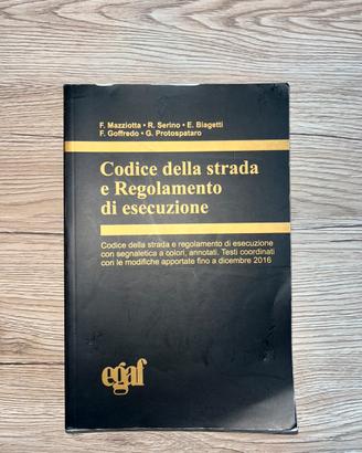 Codice della Strada Regolamento esecuzione Egaf