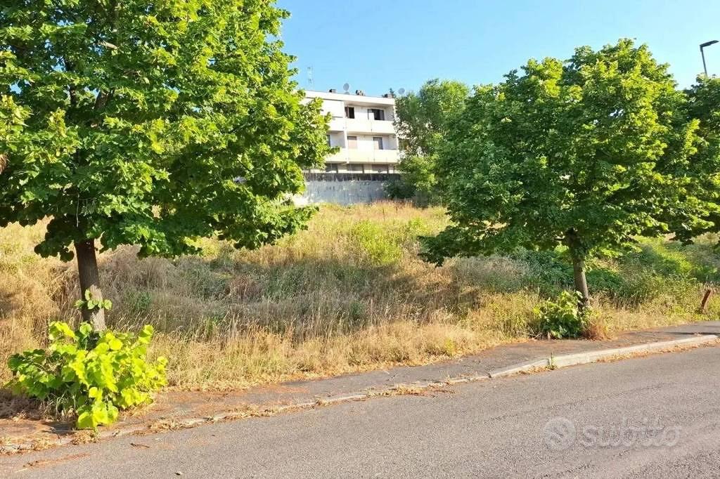 Immobile in asta di 727 m² a Bertinoro - Vista 3