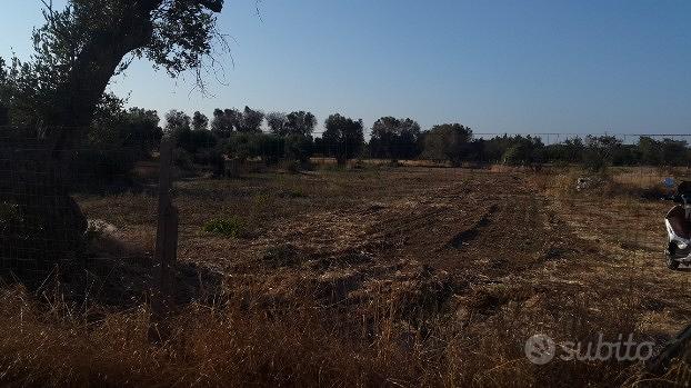 Terreno agricolo edificabile - Vista 3