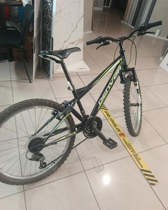 mountain bike