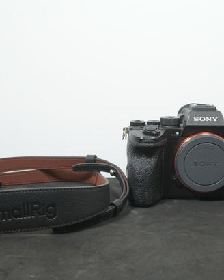 Sony A7 S III
