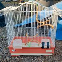 gabbia per canarino o cocorita