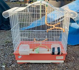 gabbia per canarino o cocorita