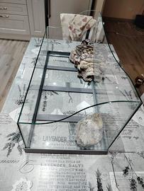 acquario per tartaruga d’acqua