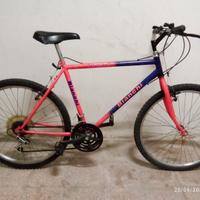 MTB Bianchi 26"
