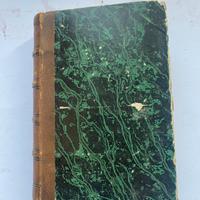 DIZIONARIO PIEMONTESE ITALIANO