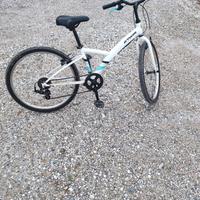 Bicicletta ragazzina.