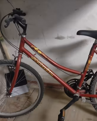 2 biciclette atala