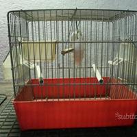 Gabietta per uccelli