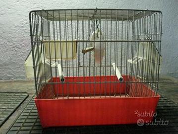 Gabietta per uccelli