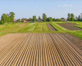 Cerchiamo terreni agricoli per agrivoltaico