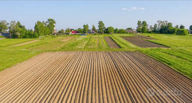 Cerchiamo terreni agricoli per agrivoltaico