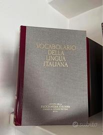 Vocabolario della lingua italiana firmato Treccani