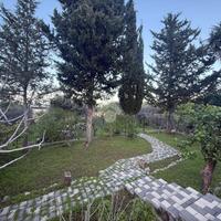 TER. AGRICOLO A CARINI