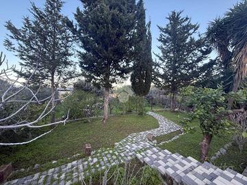 TER. AGRICOLO A CARINI