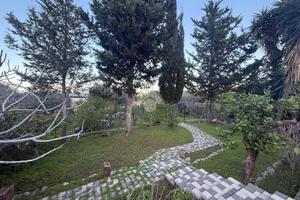 TER. AGRICOLO A CARINI