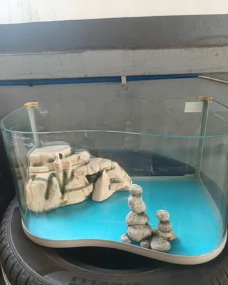 acquario acquatrrrario