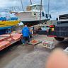 sessa-dorado-28-