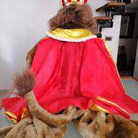 Vestito di carnevale Re Leone